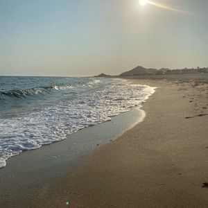 Meet your Posher, Bella